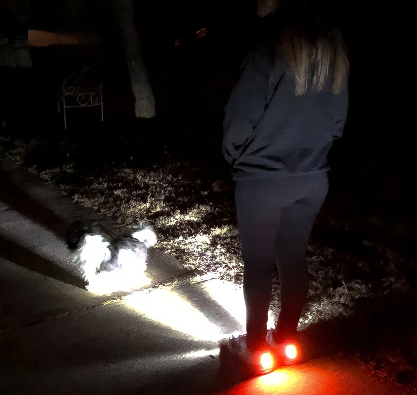 Women's Night Runner Shoes